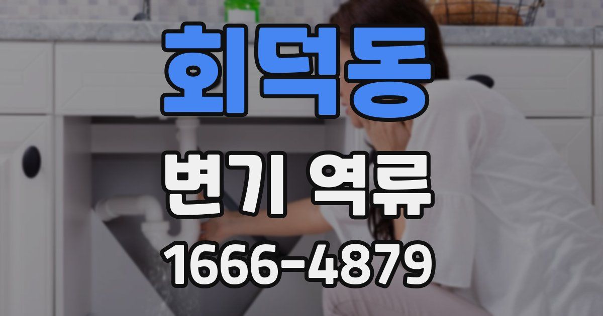 회덕동 변기 역류