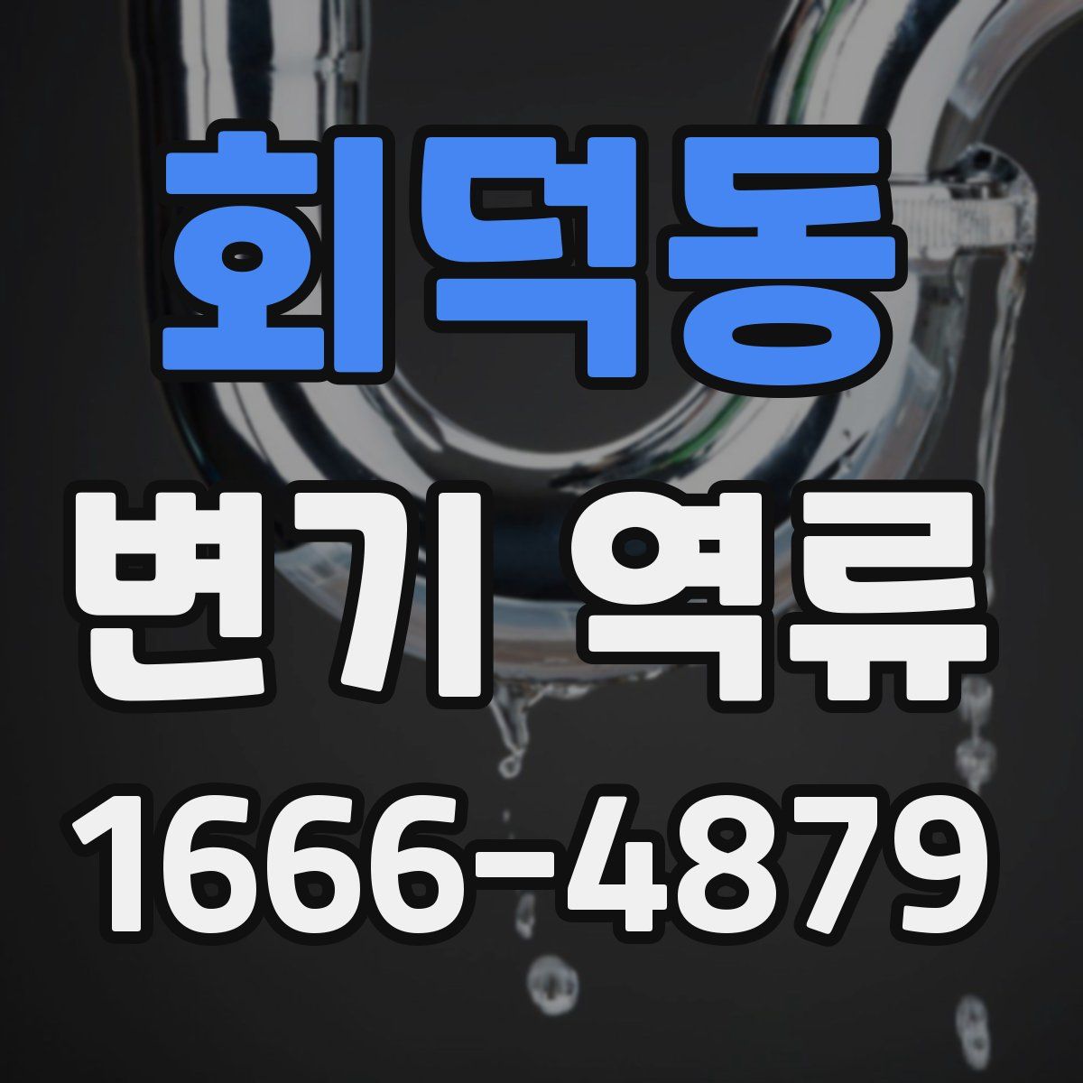 회덕동 변기 역류