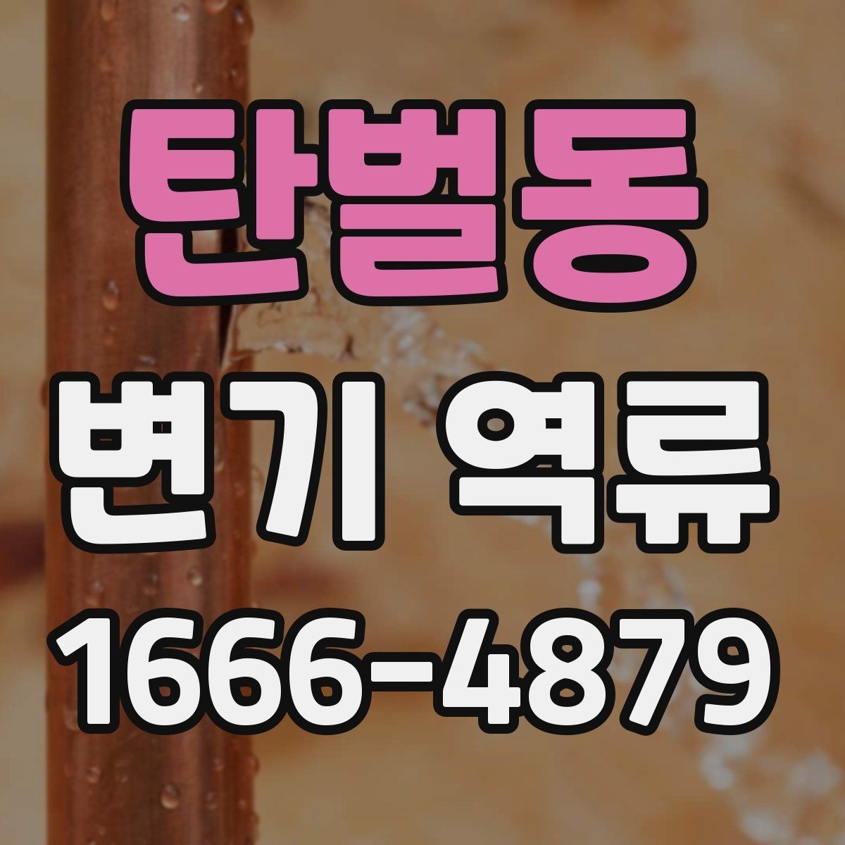 탄벌동 변기 역류 막힘 증상과 구별하는 법