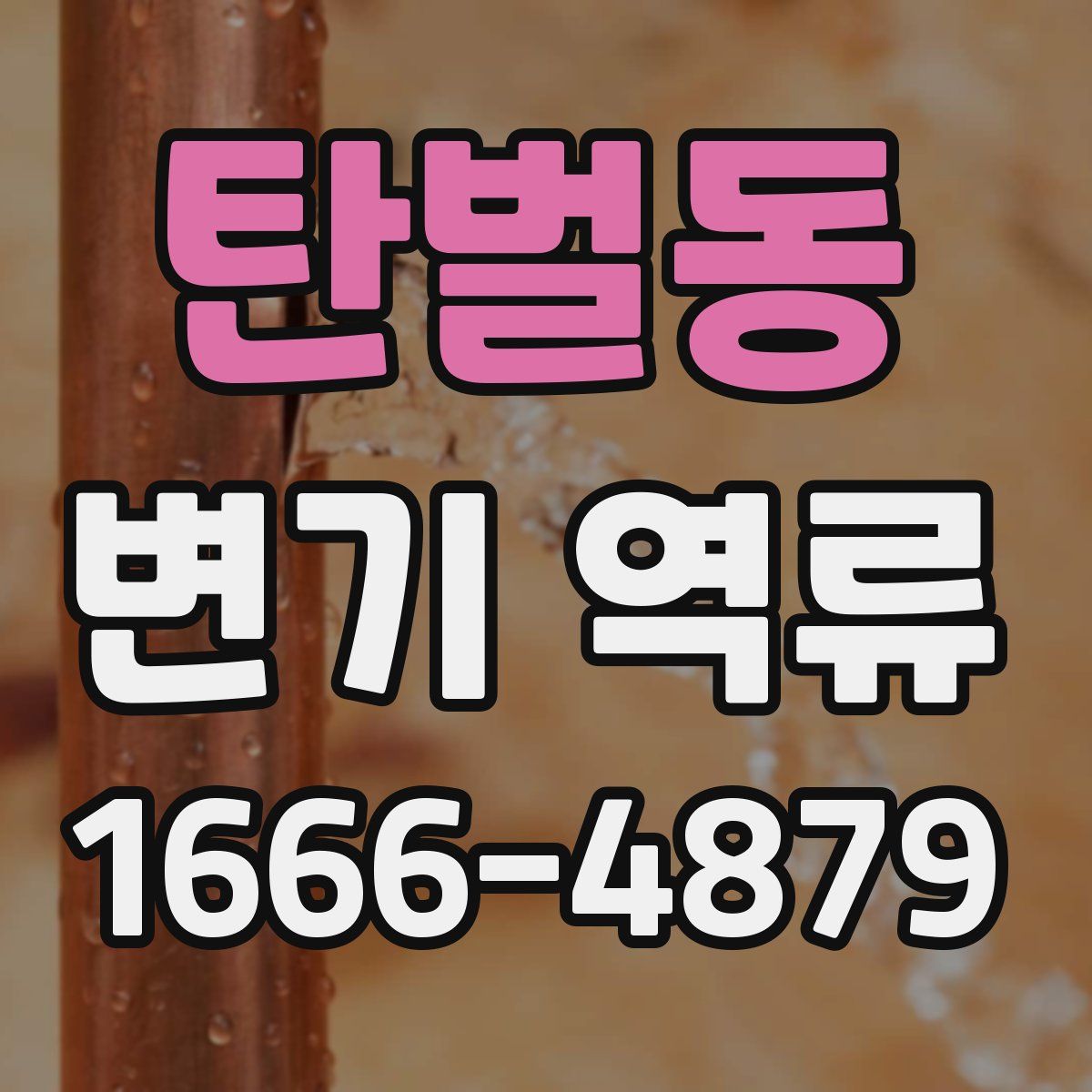 탄벌동 변기 역류