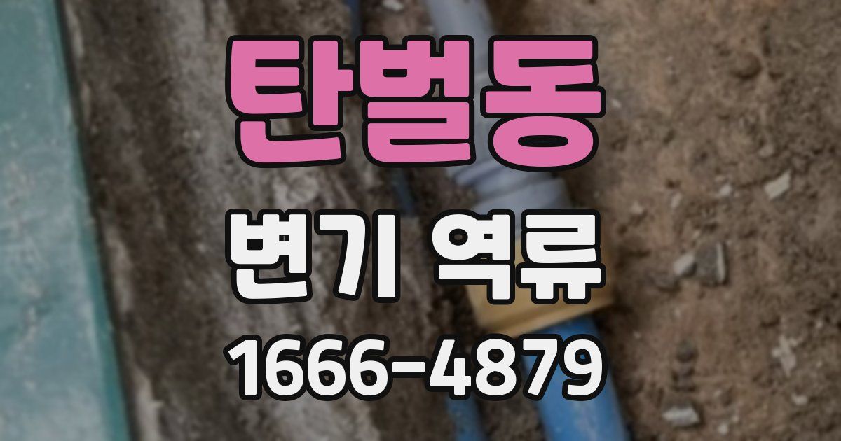 탄벌동 변기 역류