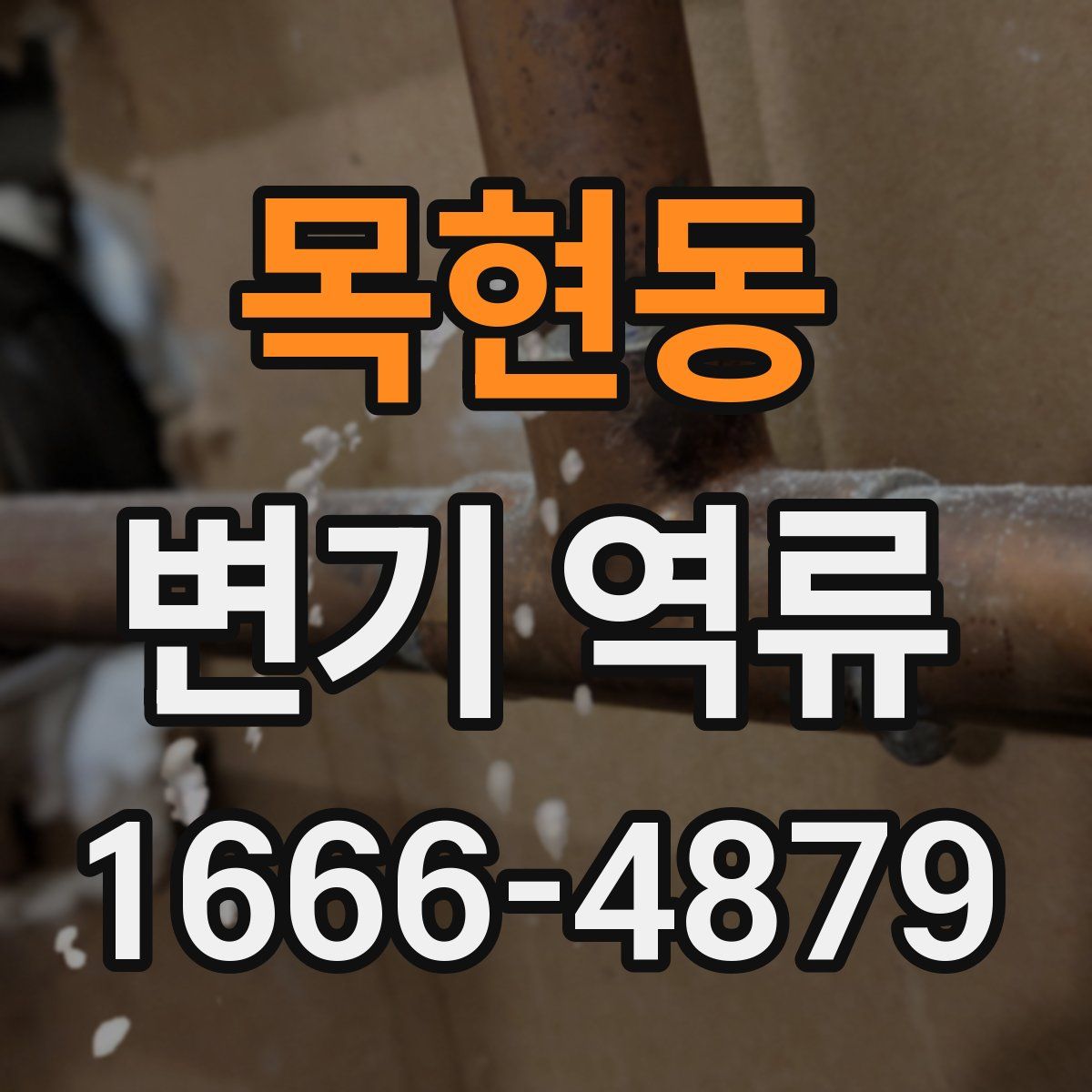 목현동 변기 역류