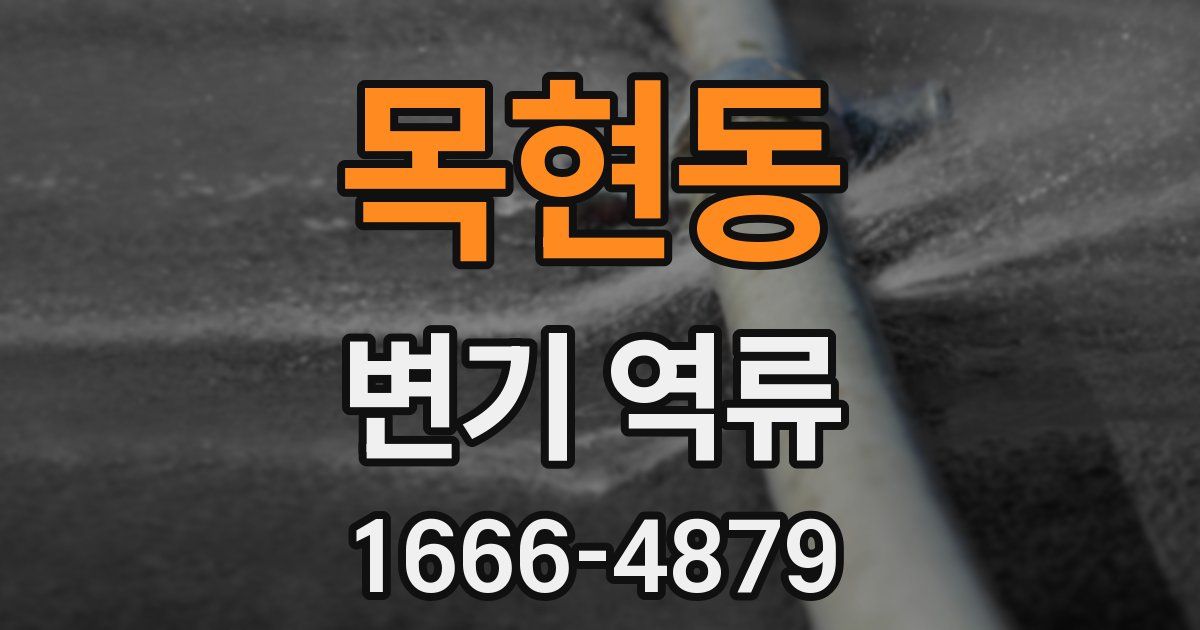목현동 변기 역류