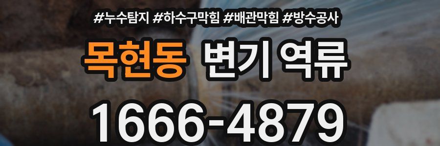 목현동 변기 역류