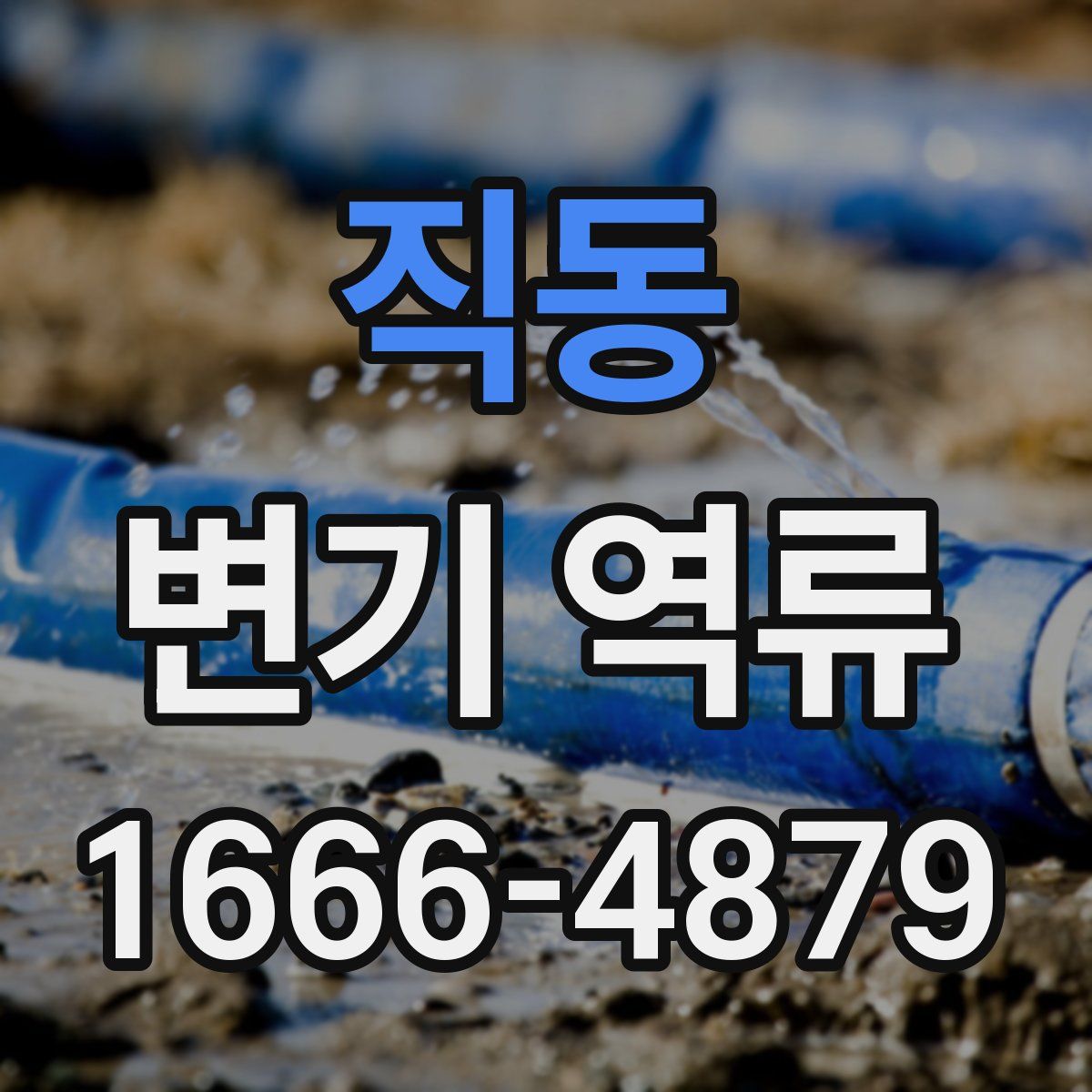 직동 변기 역류
