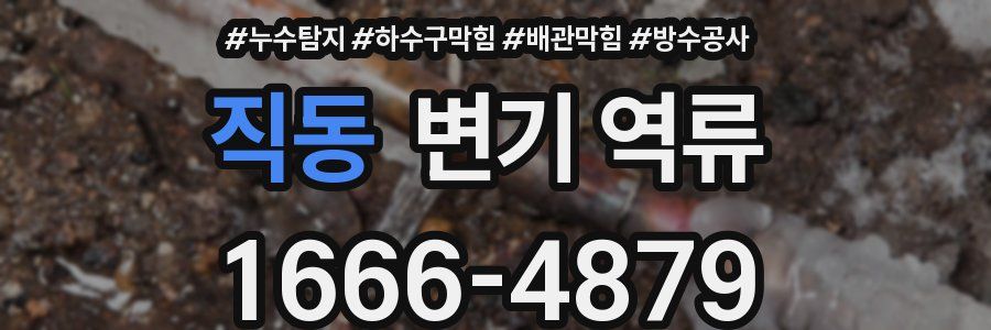 직동 변기 역류