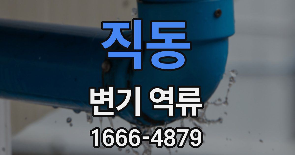 직동 변기 역류