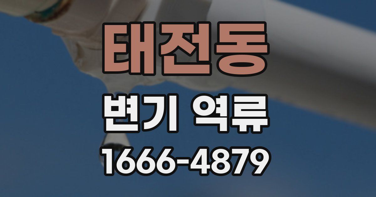 태전동 변기 역류
