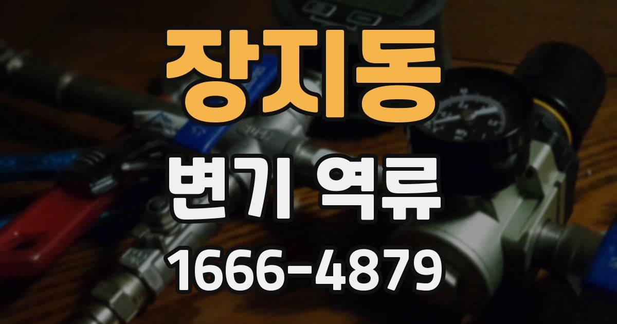 장지동 변기 역류