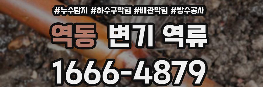 역동 변기 역류