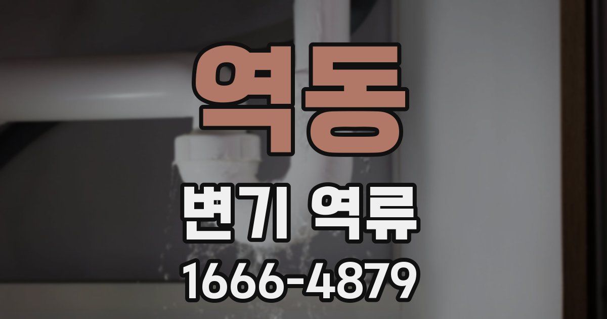 역동 변기 역류