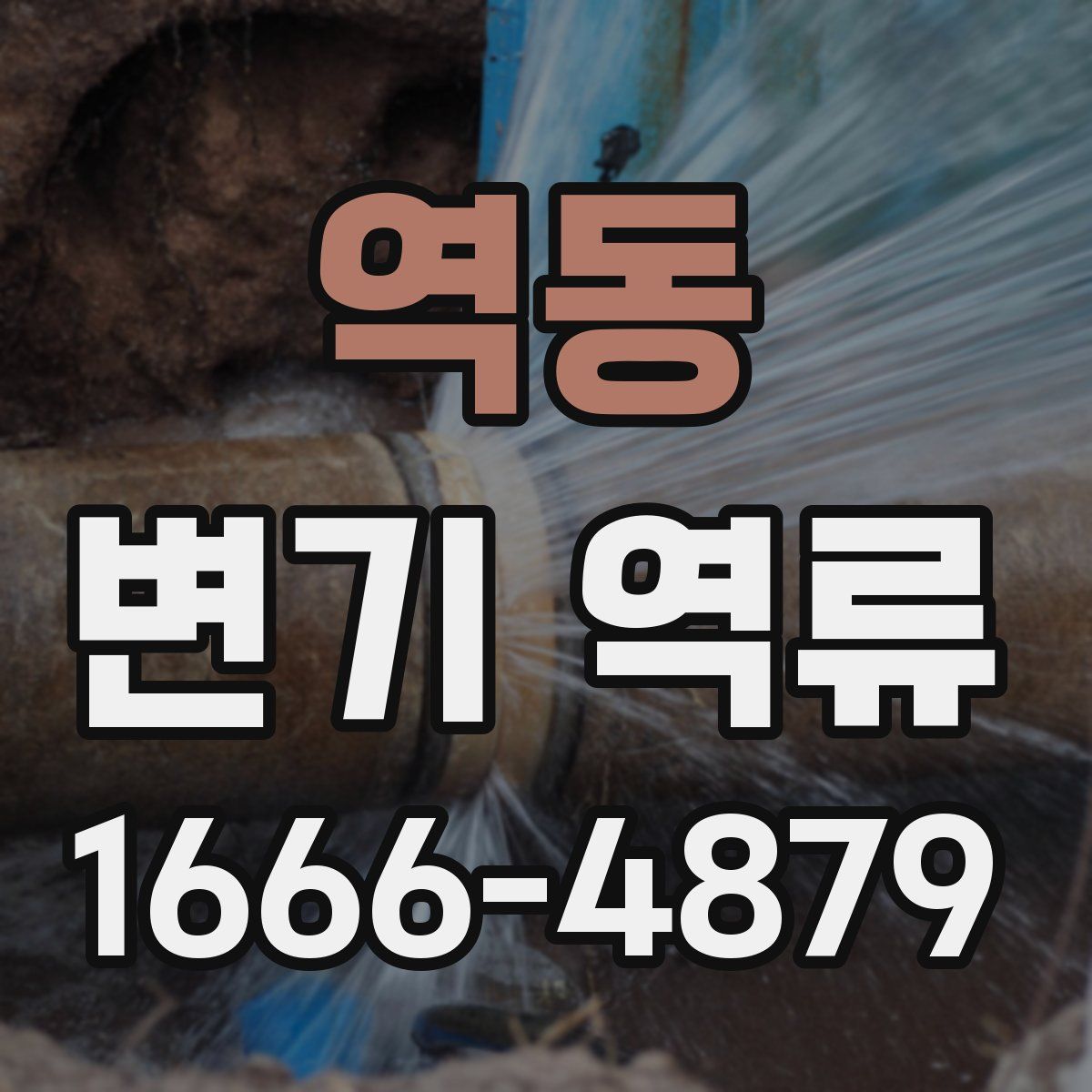 역동 변기 역류