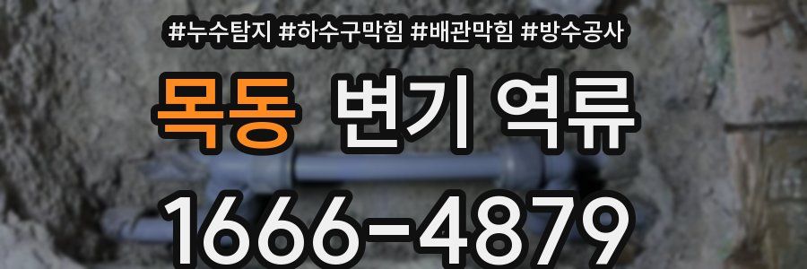 목동 변기 역류