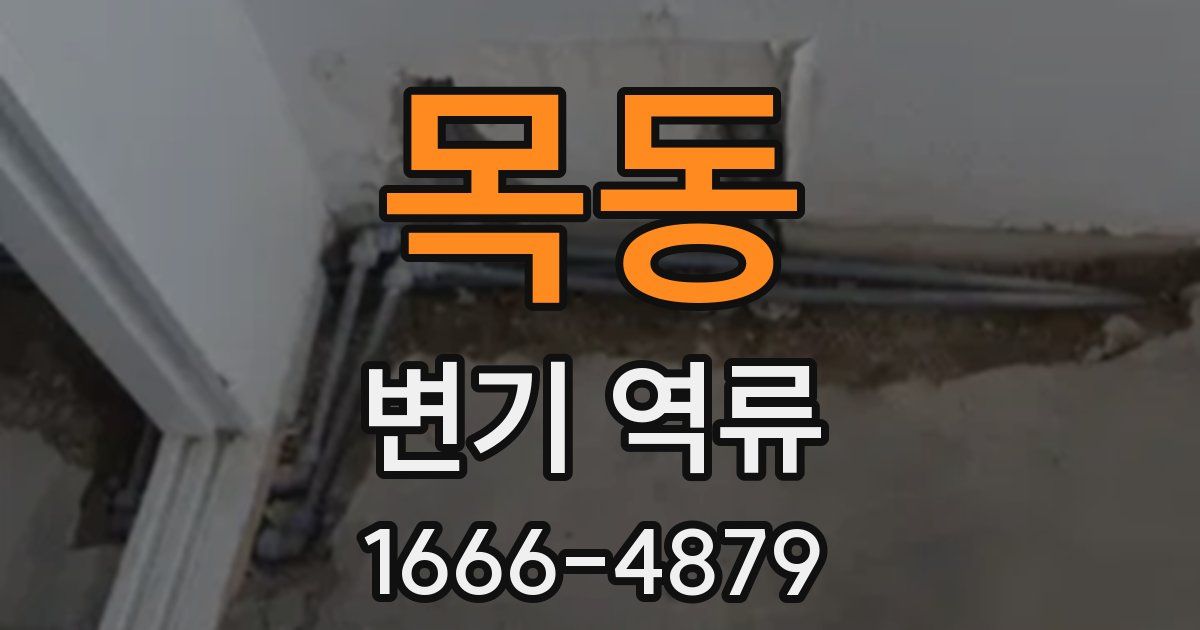 목동 변기 역류