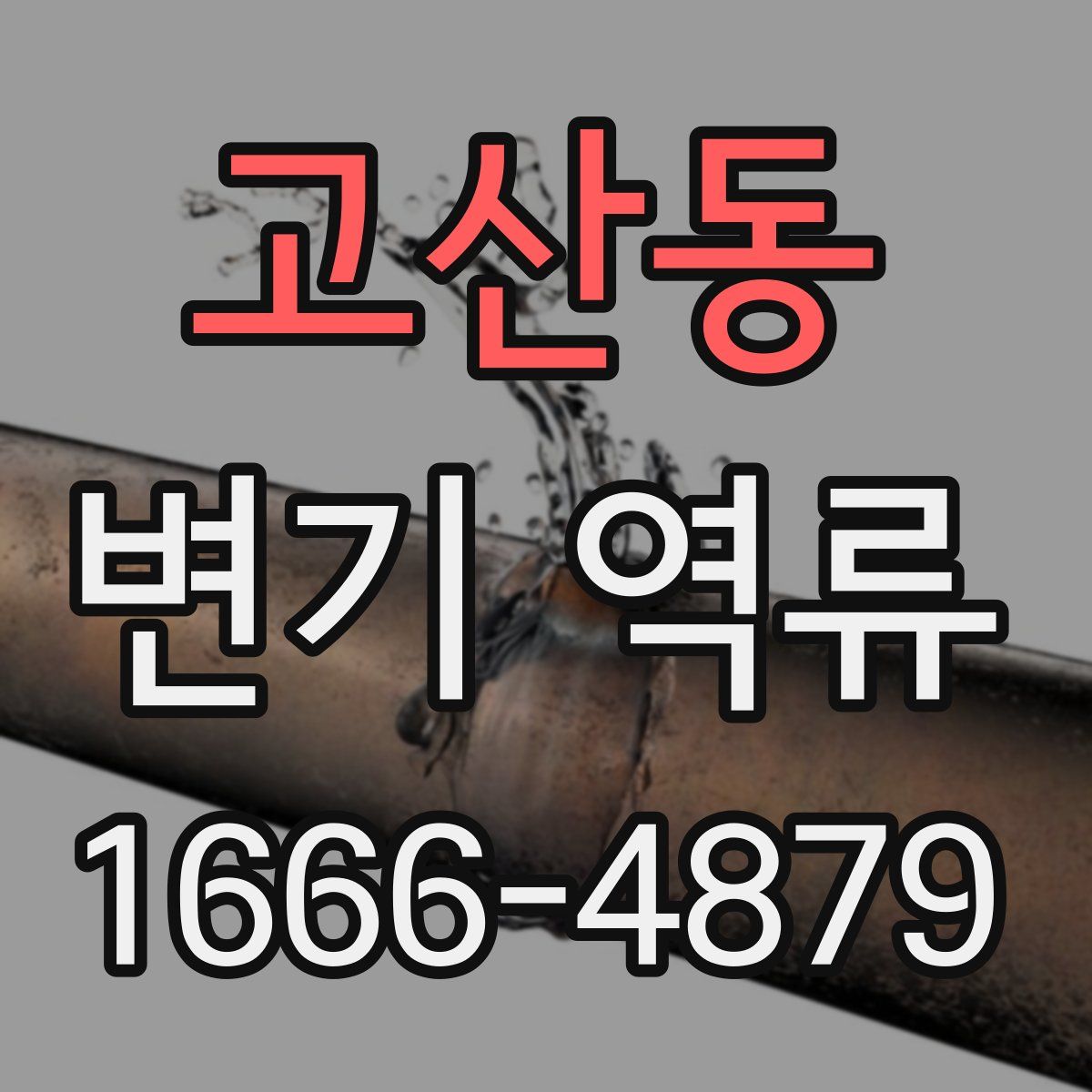 고산동 변기 역류
