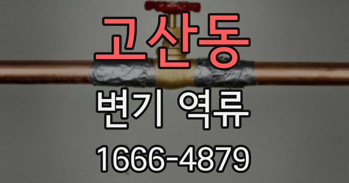 고산동 변기 역류