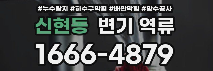 신현동 변기 역류