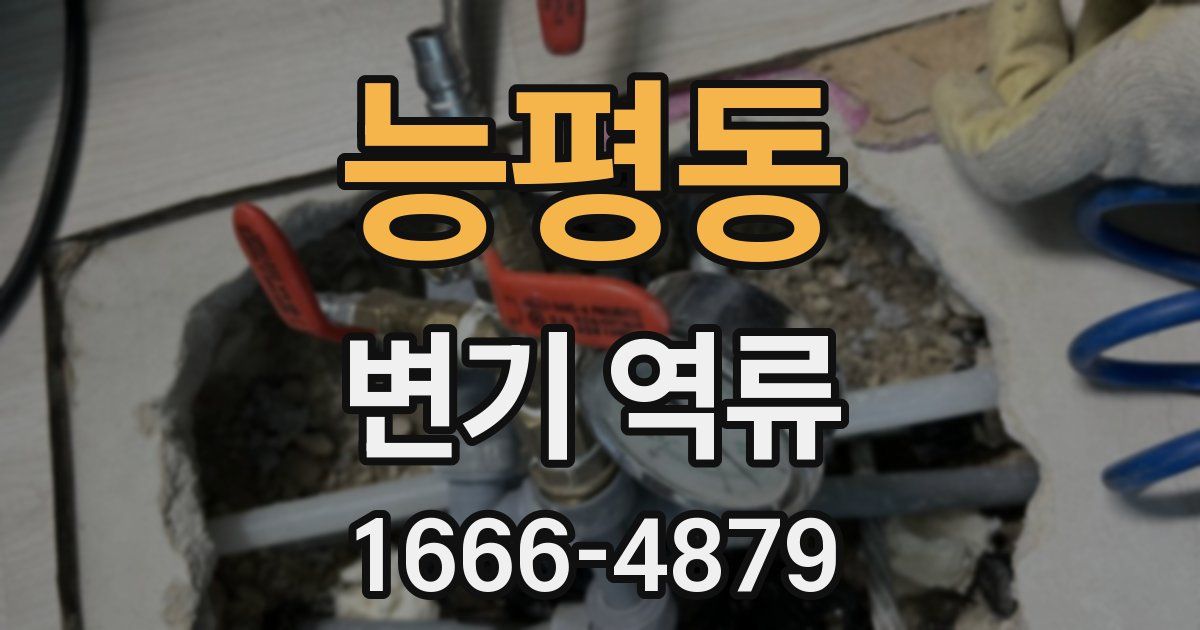 능평동 변기 역류