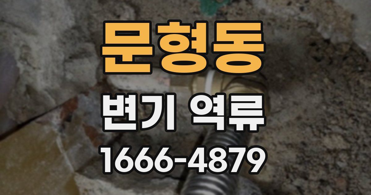 문형동 변기 역류