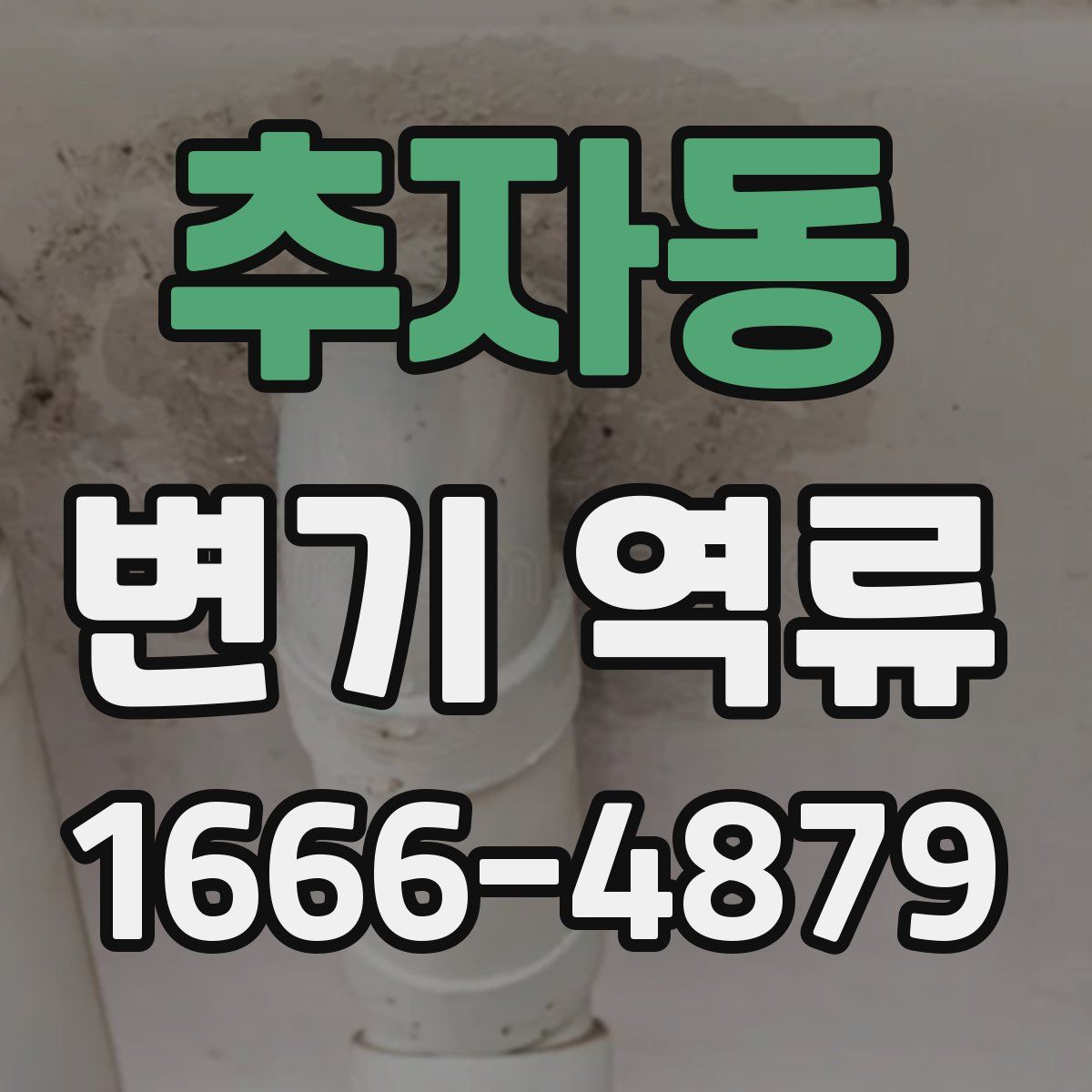 추자동 변기 역류
