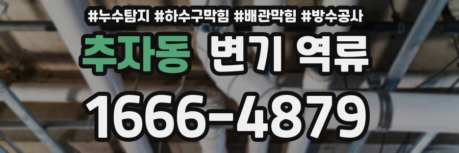 추자동 변기 역류