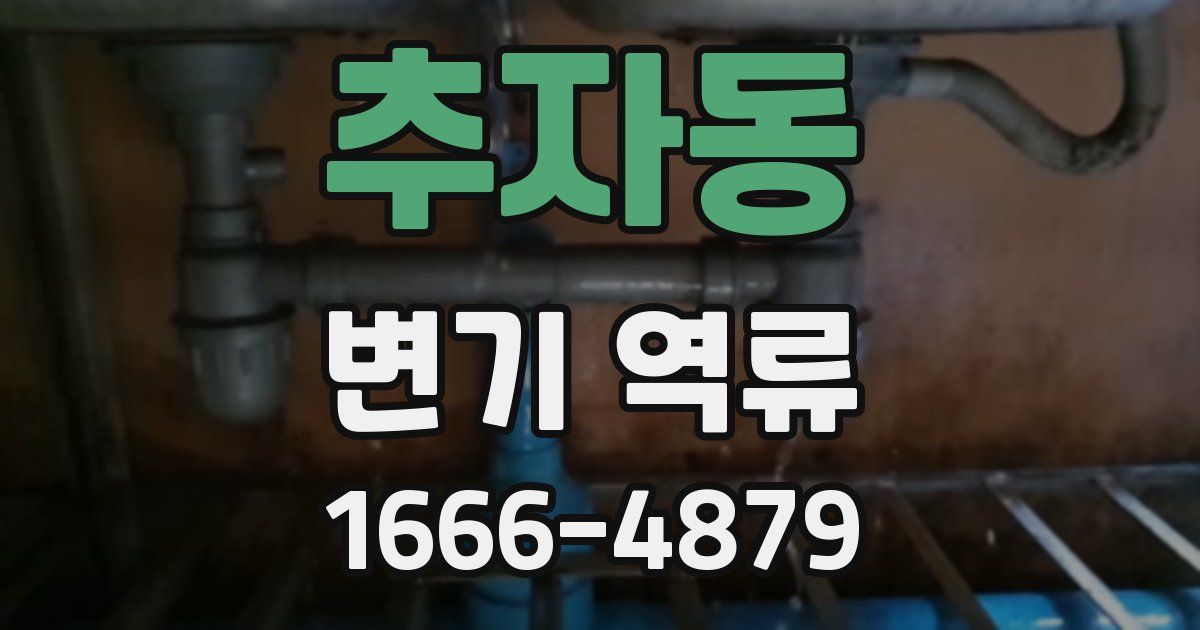 추자동 변기 역류
