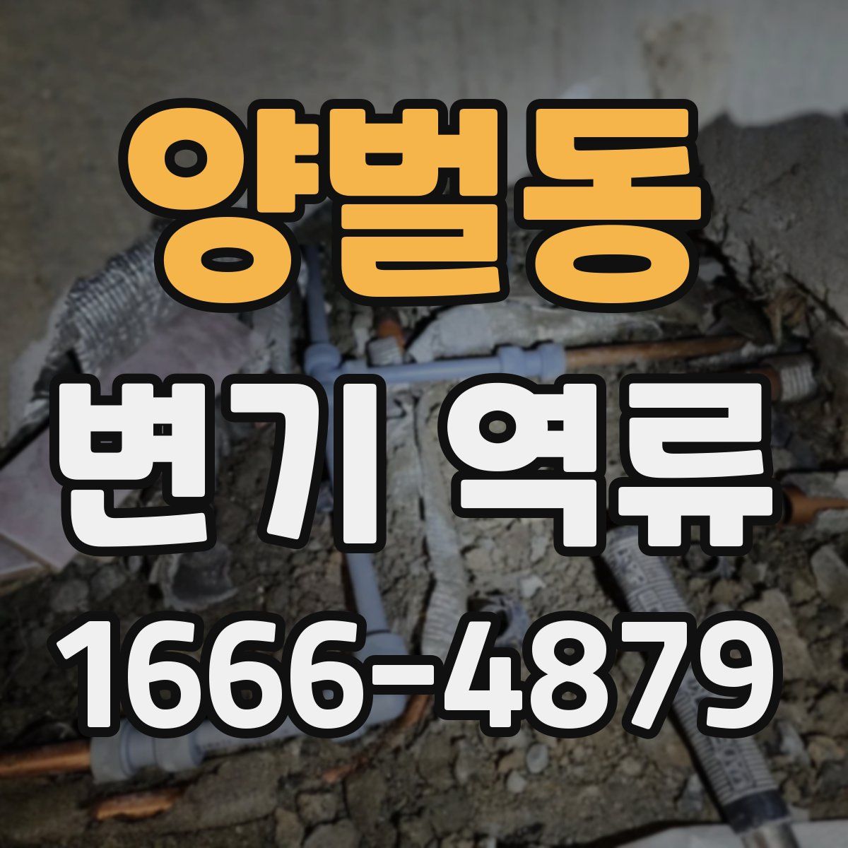 양벌동 변기 역류