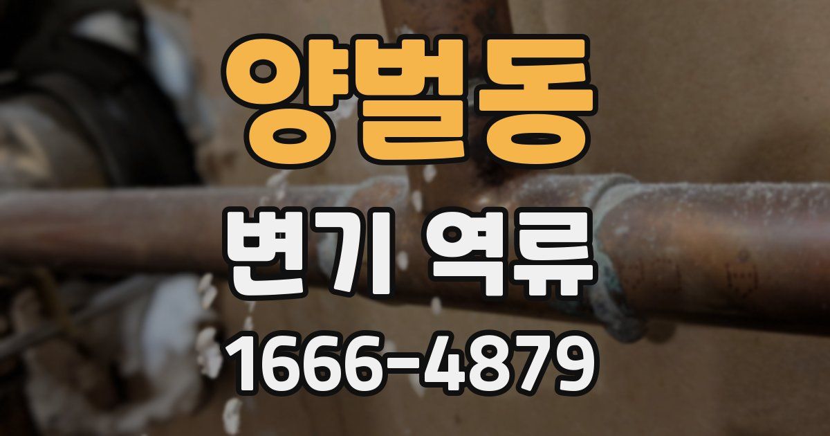 양벌동 변기 역류