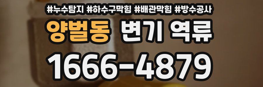 양벌동 변기 역류