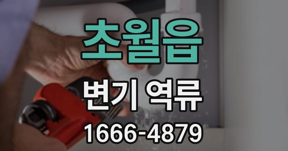 초월읍 변기 역류