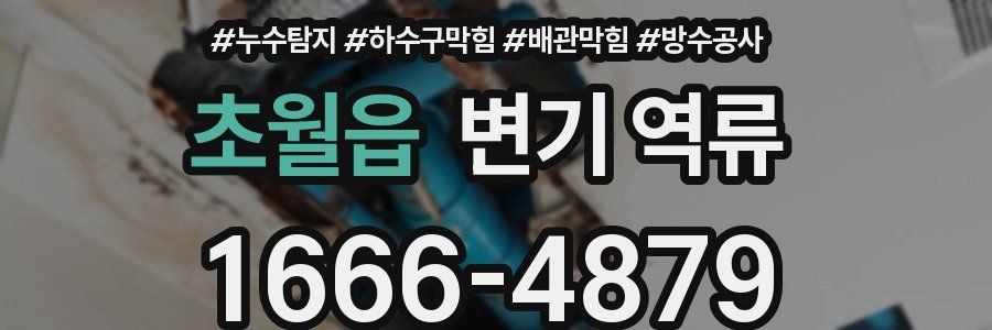 초월읍 변기 역류