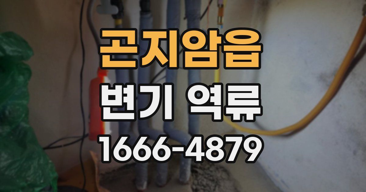 곤지암읍 변기 역류