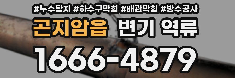 곤지암읍 변기 역류