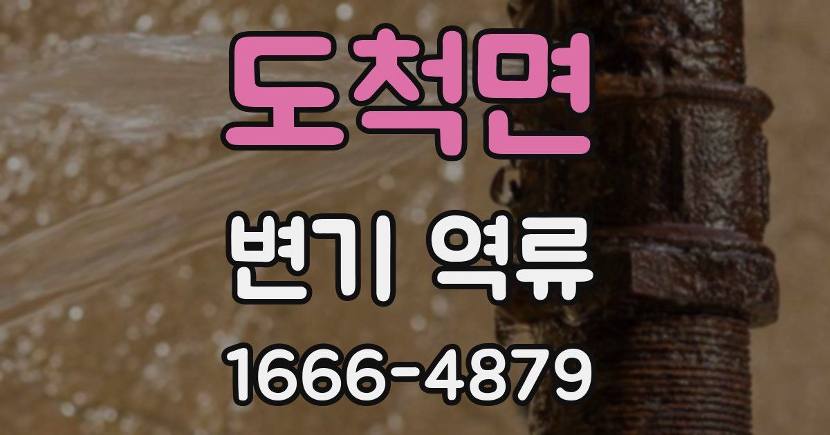 도척면 변기 역류
