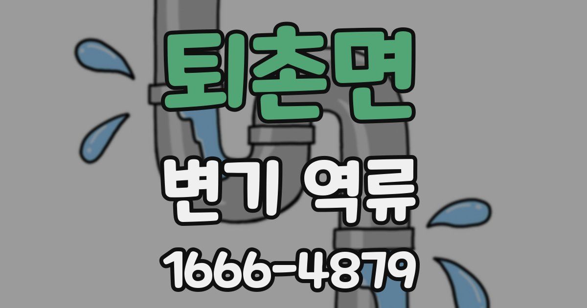 퇴촌면 변기 역류