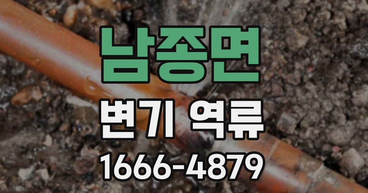 남종면 변기 역류