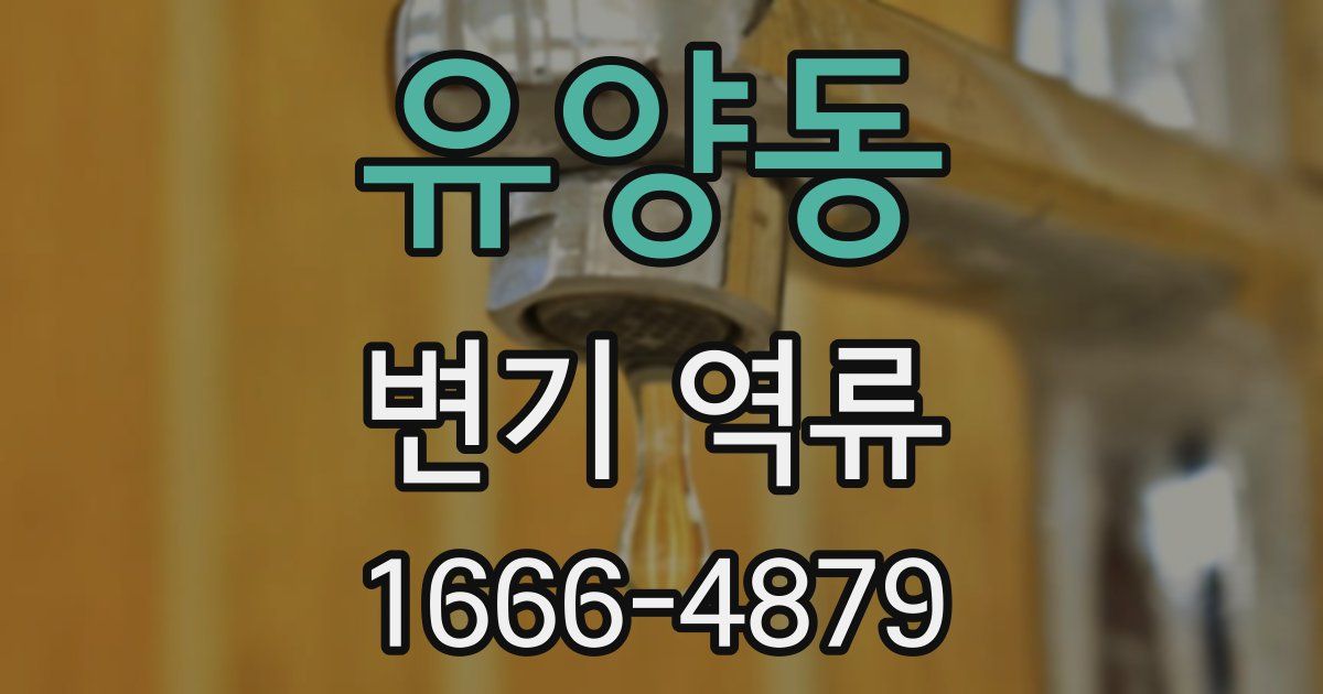 유양동 변기 역류