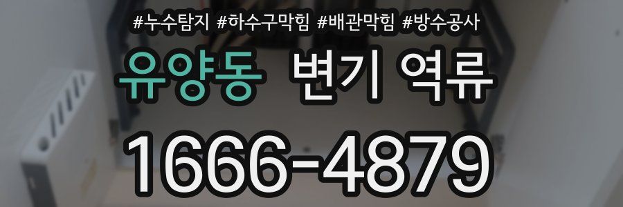 유양동 변기 역류