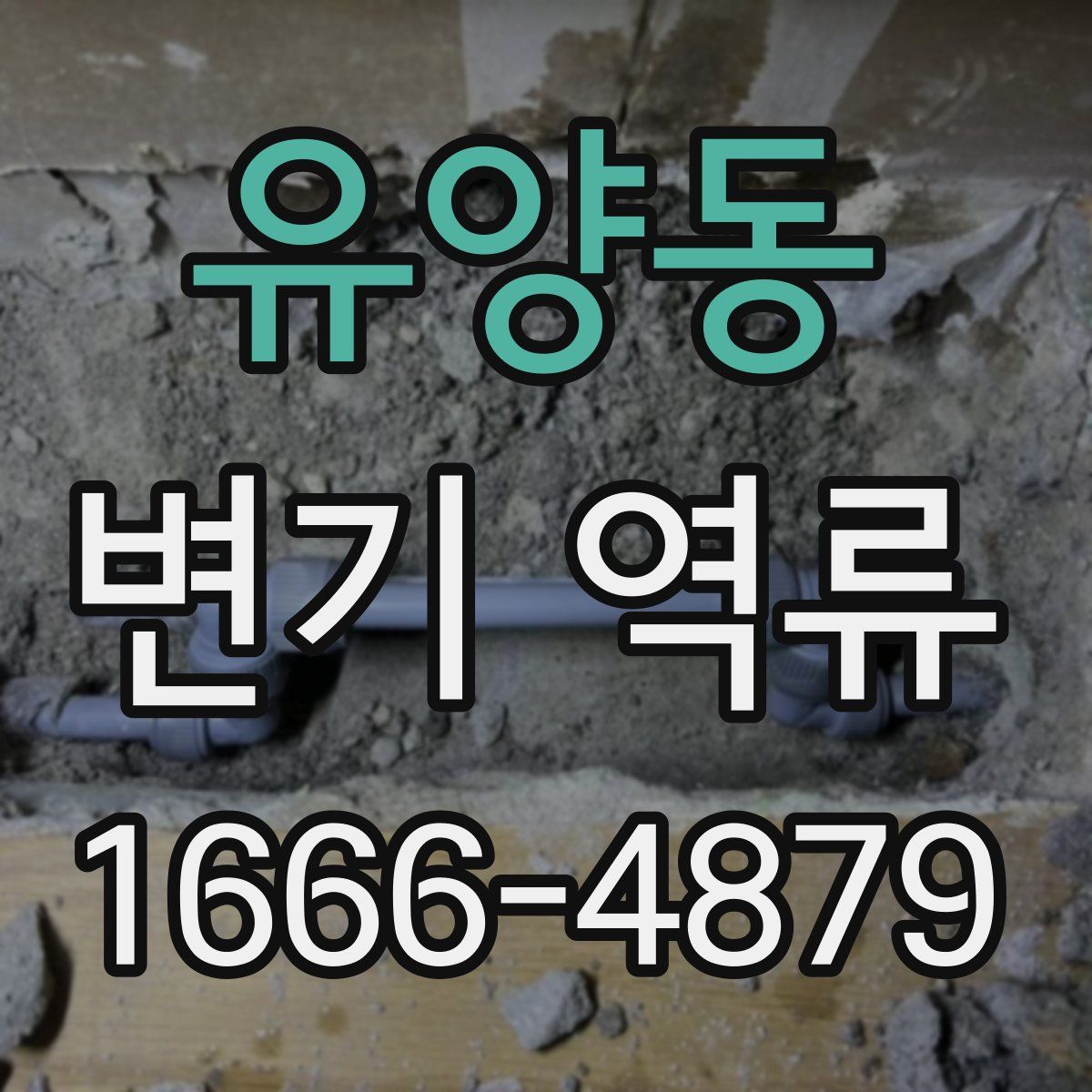 유양동 변기 역류