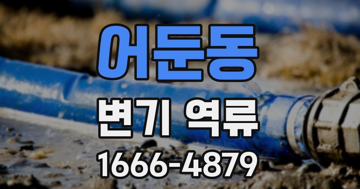 어둔동 변기 역류