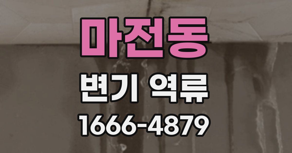 마전동 변기 역류