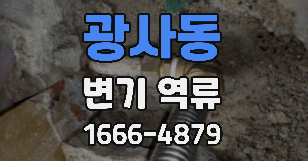 광사동 변기 역류