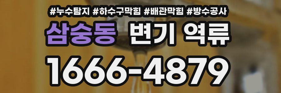 삼숭동 변기 역류