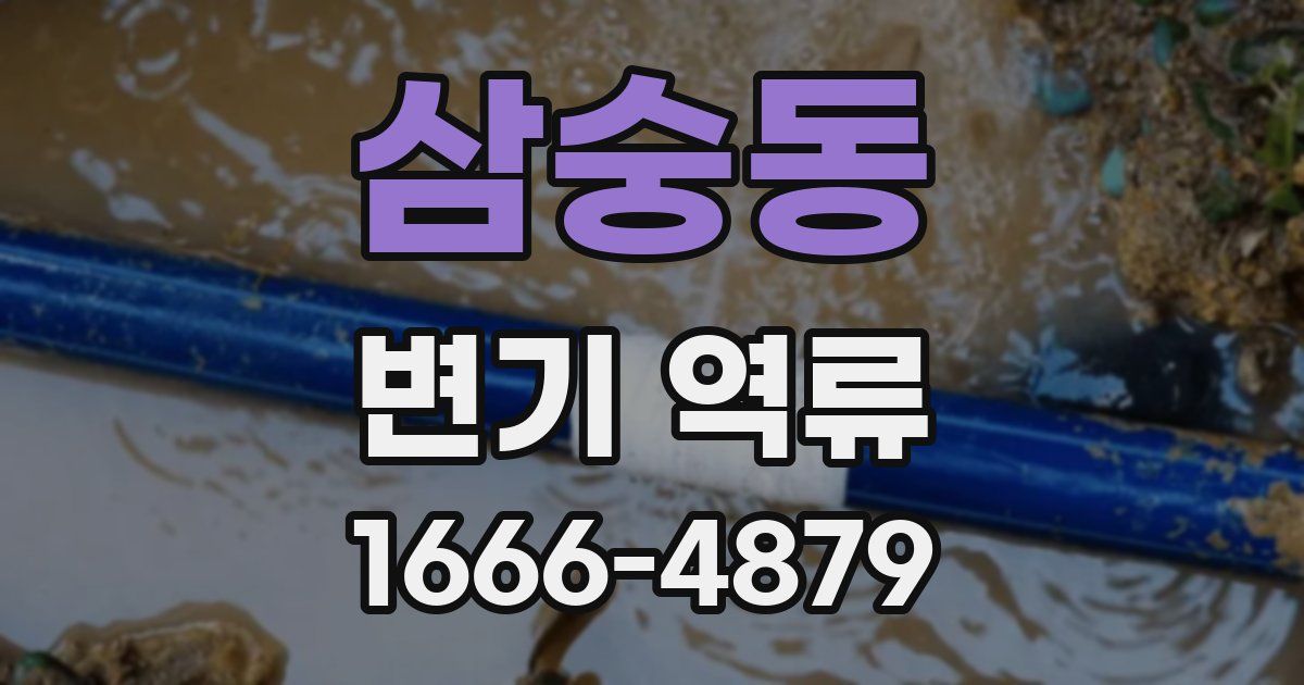 삼숭동 변기 역류