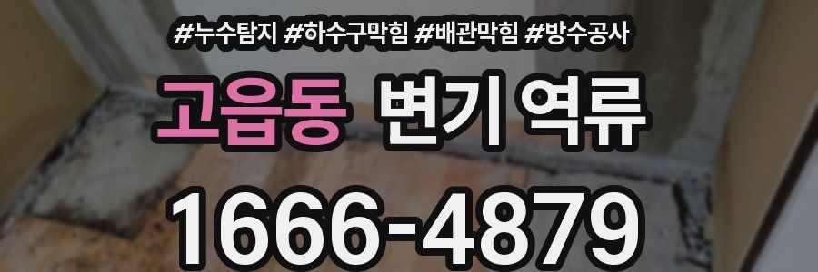 고읍동 변기 역류