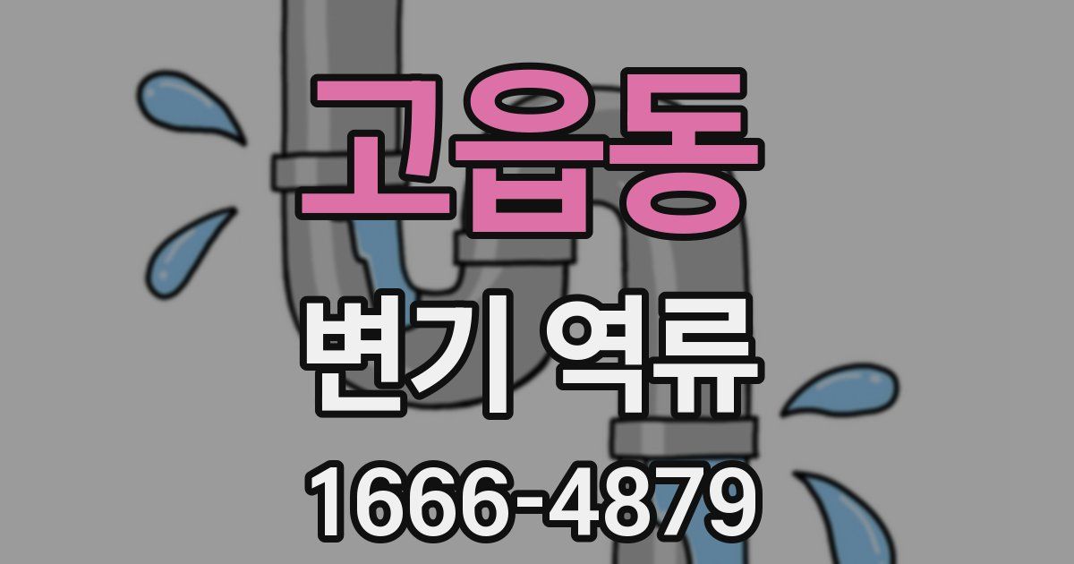고읍동 변기 역류