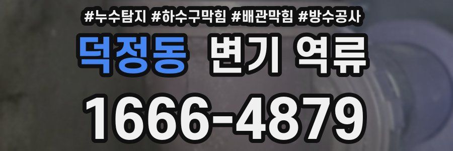 덕정동 변기 역류