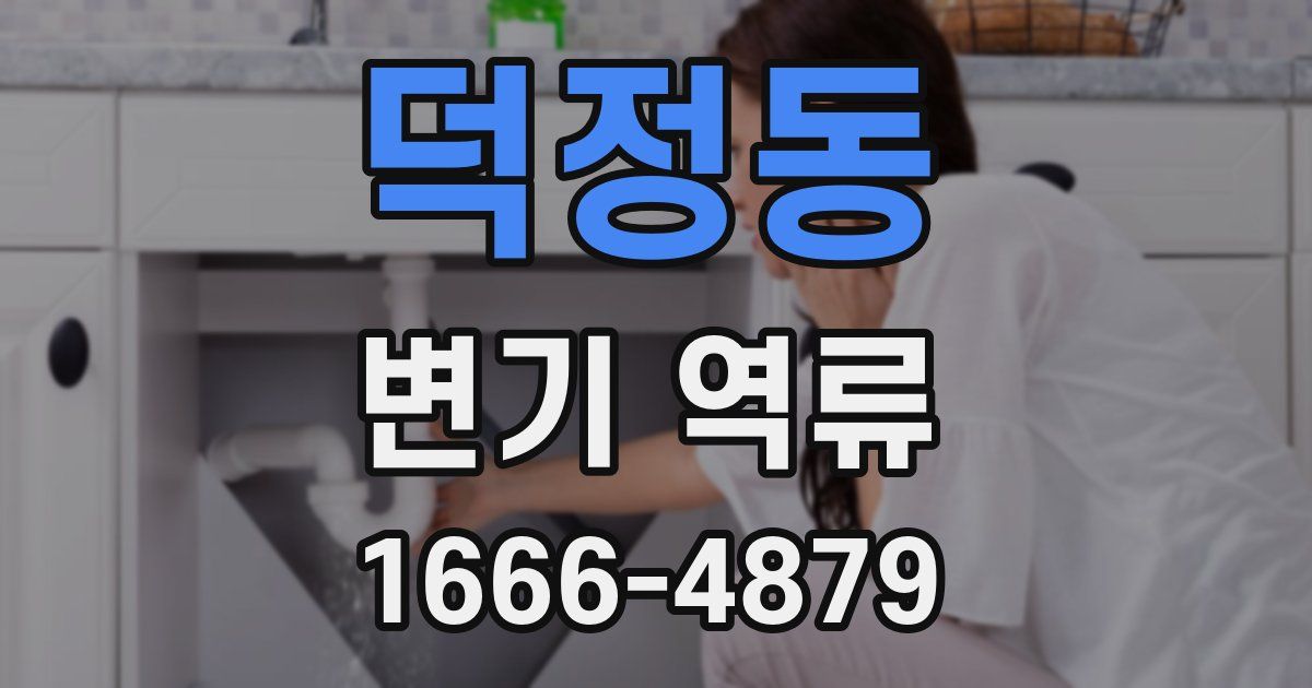 덕정동 변기 역류