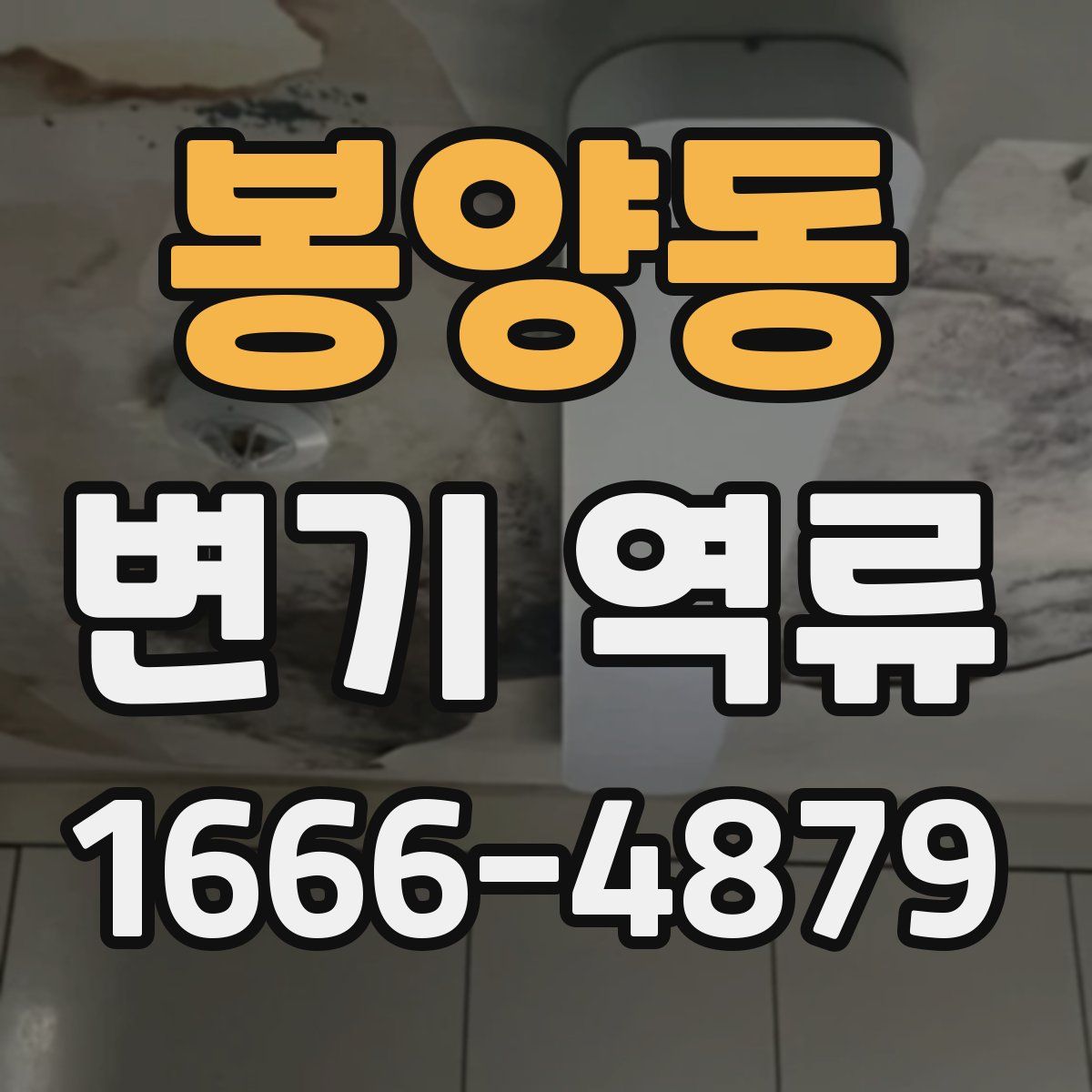 봉양동 변기 역류