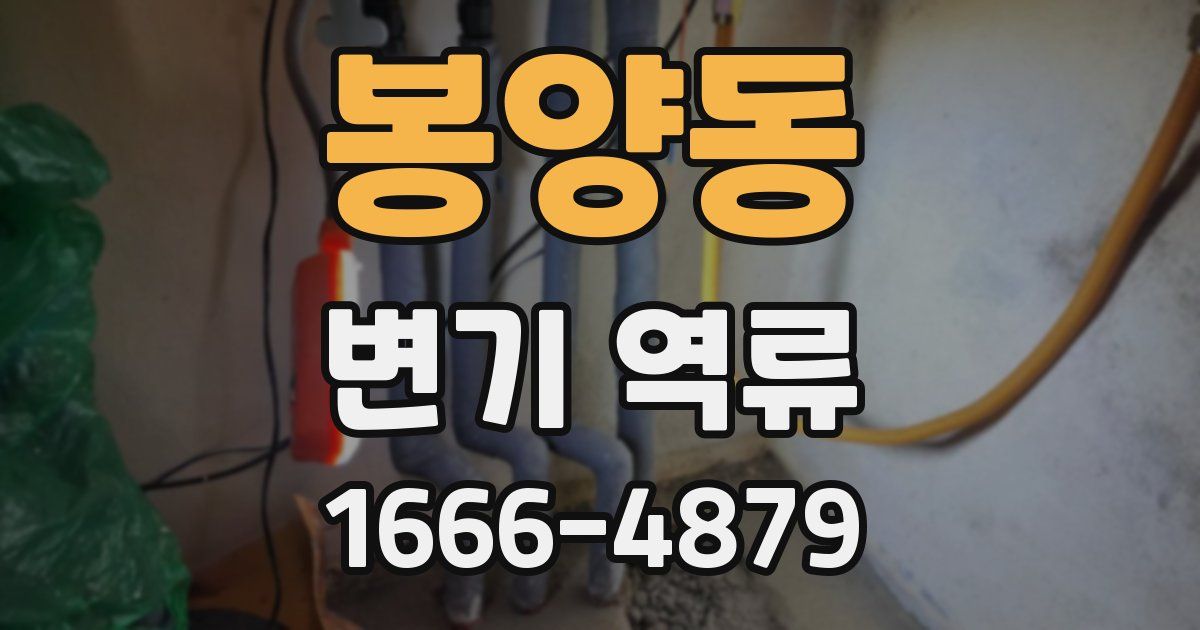 봉양동 변기 역류